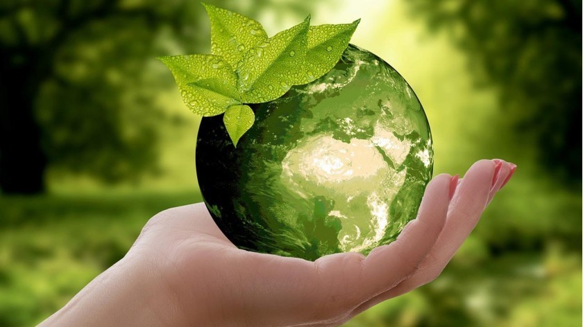 Optar por nuestras cajas de plástico eco-responsables Optar por nuestras cajas de plástico eco-responsables
